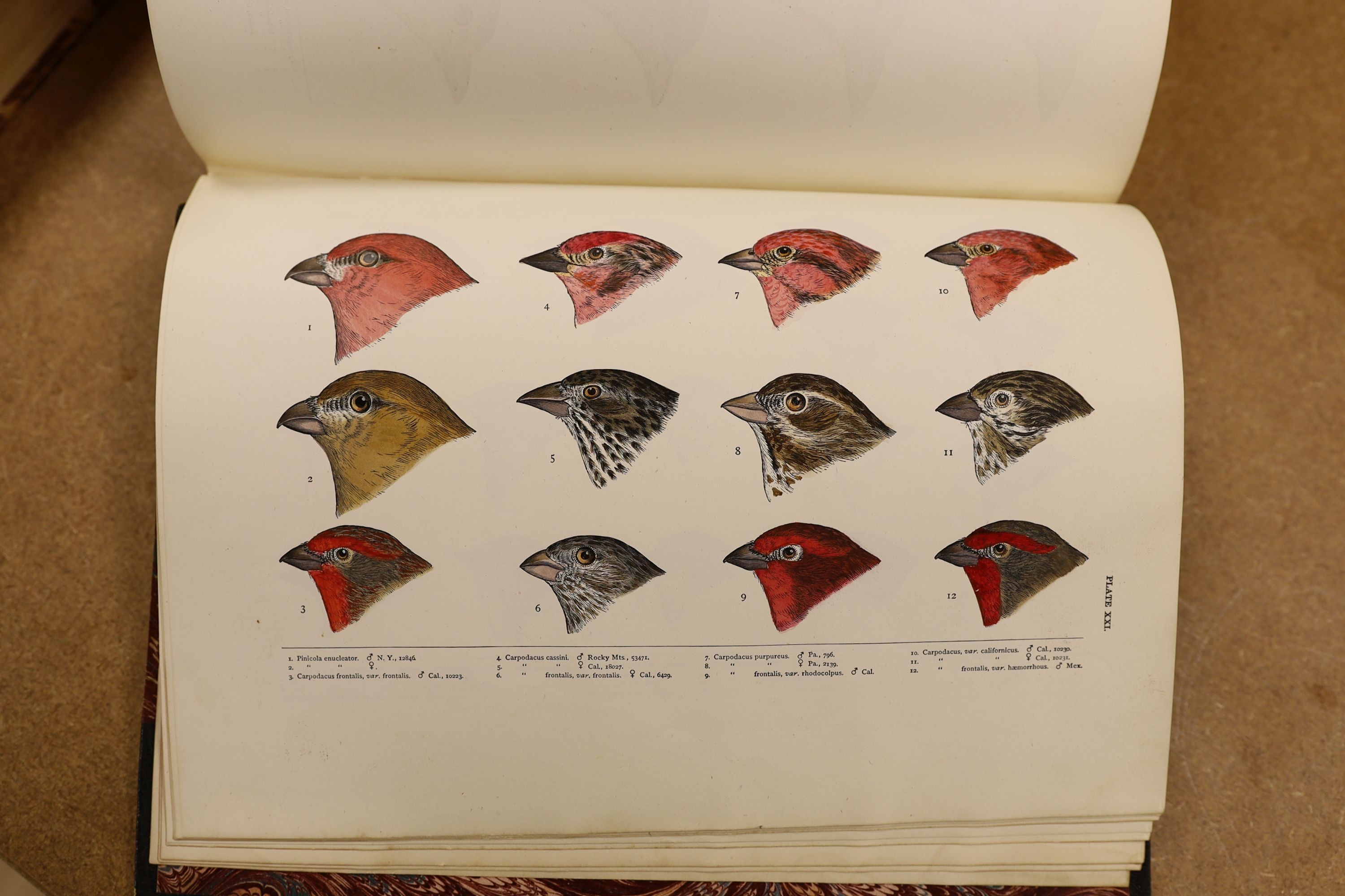 Baird, S.F. & Others - A History of North America Birds: Land Birds, 3 vols., coloured plates and other illus.; old half leather and marbled boards, gilt tops and marbled e/ps., 4to.